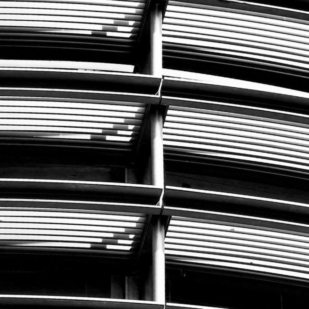 Image for ADVANZ PHARMA Corp. Announces Second Quarter 2019 Results