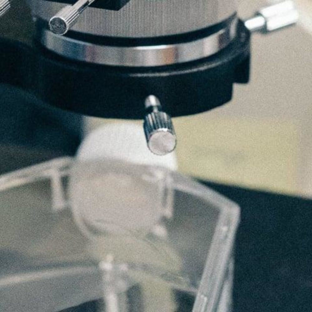 Image for ADVANZ PHARMA Corp. Announces First Quarter 2019 Results